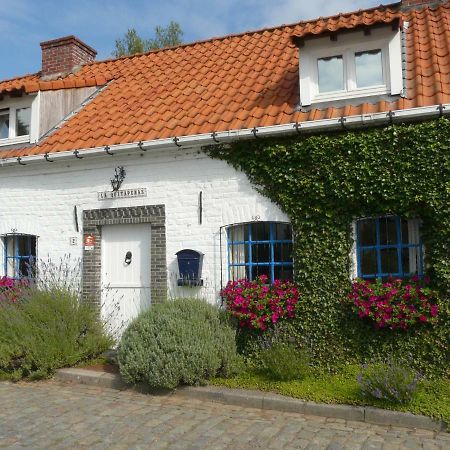 Vila La Quitapenas Ronse Exteriér fotografie