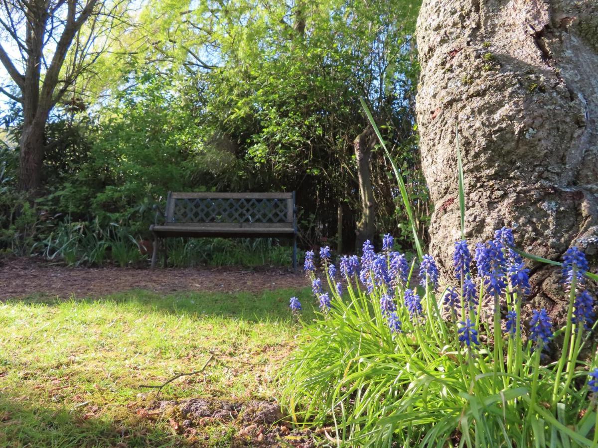 Vila La Quitapenas Ronse Exteriér fotografie