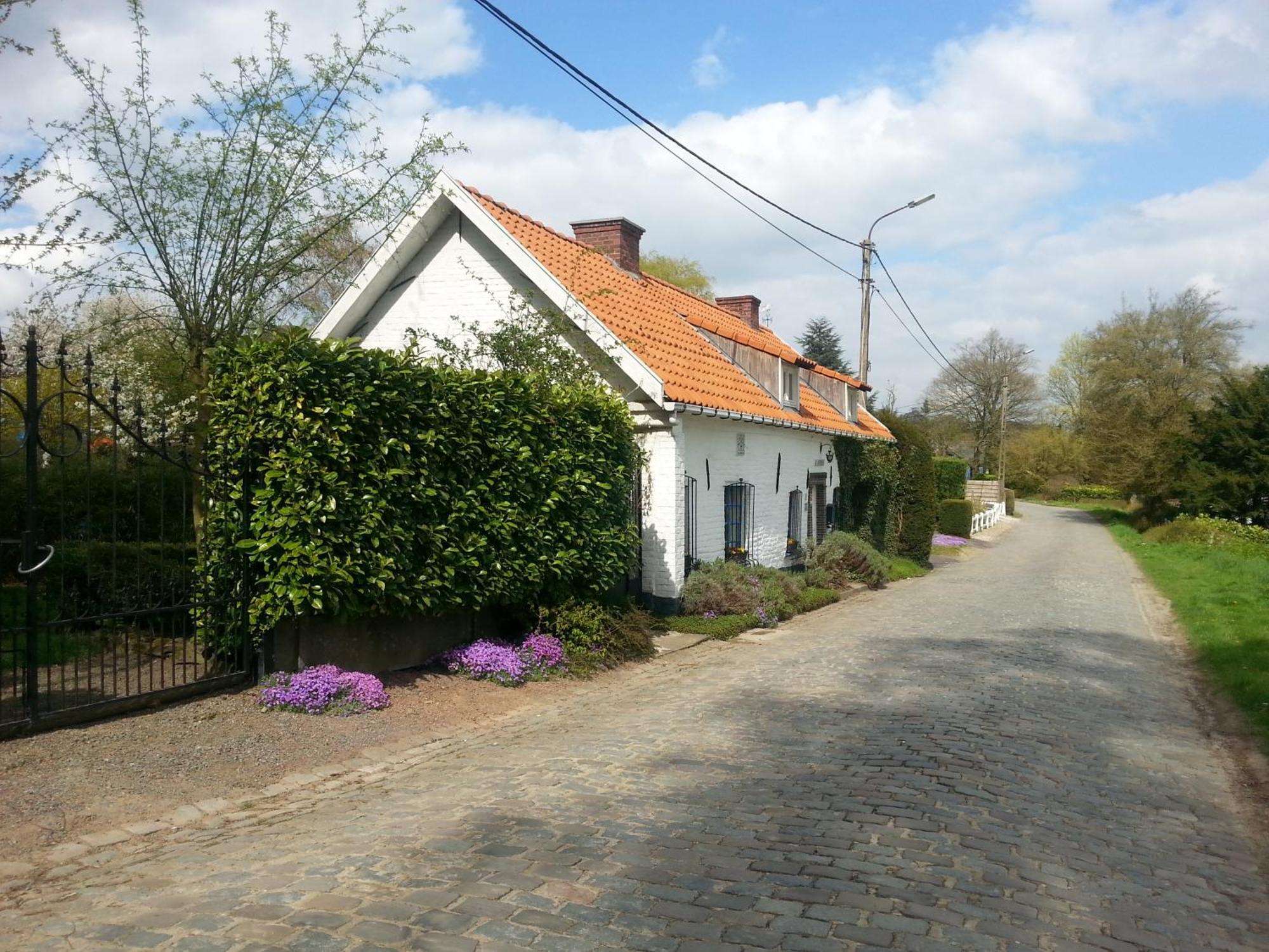 Vila La Quitapenas Ronse Exteriér fotografie