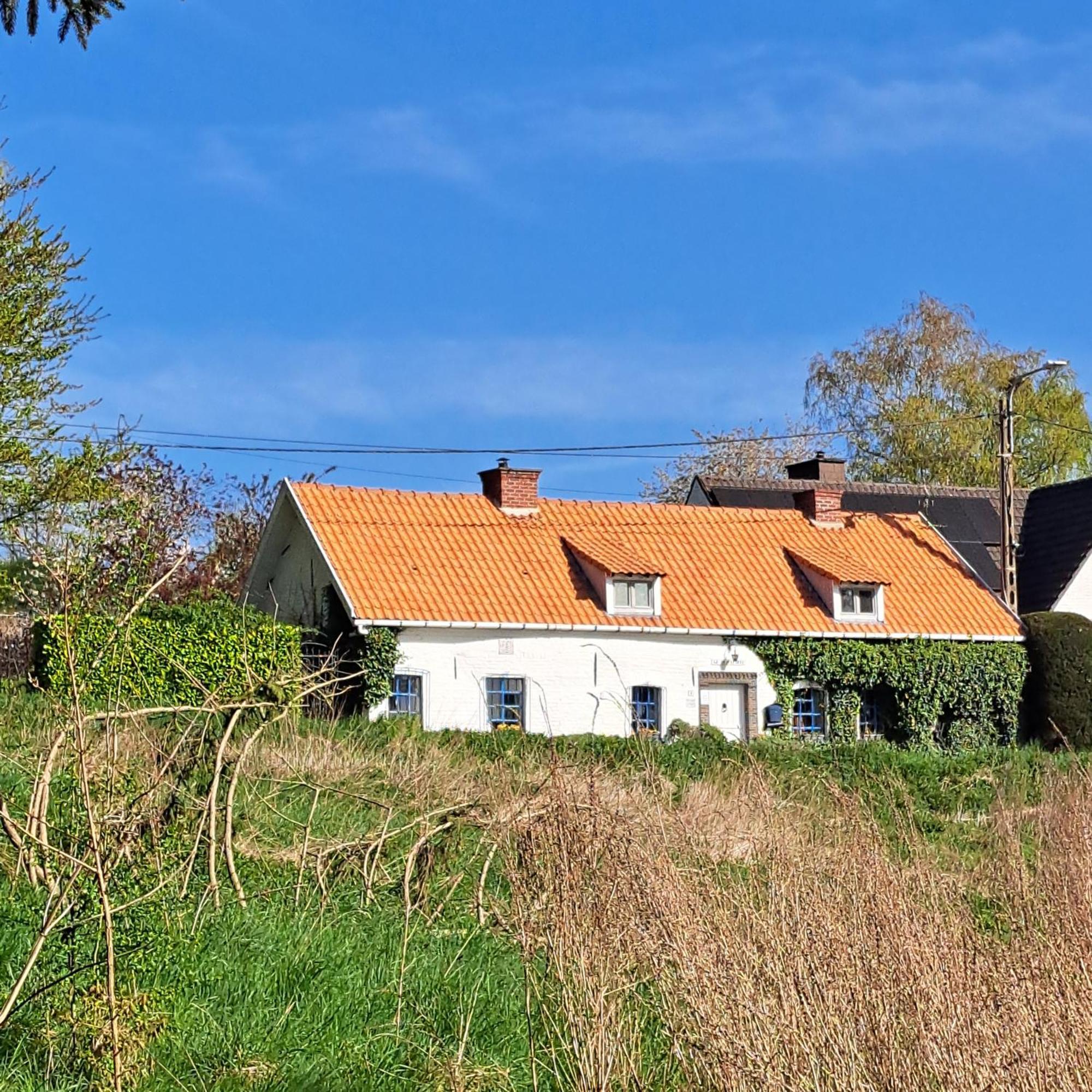 Vila La Quitapenas Ronse Exteriér fotografie
