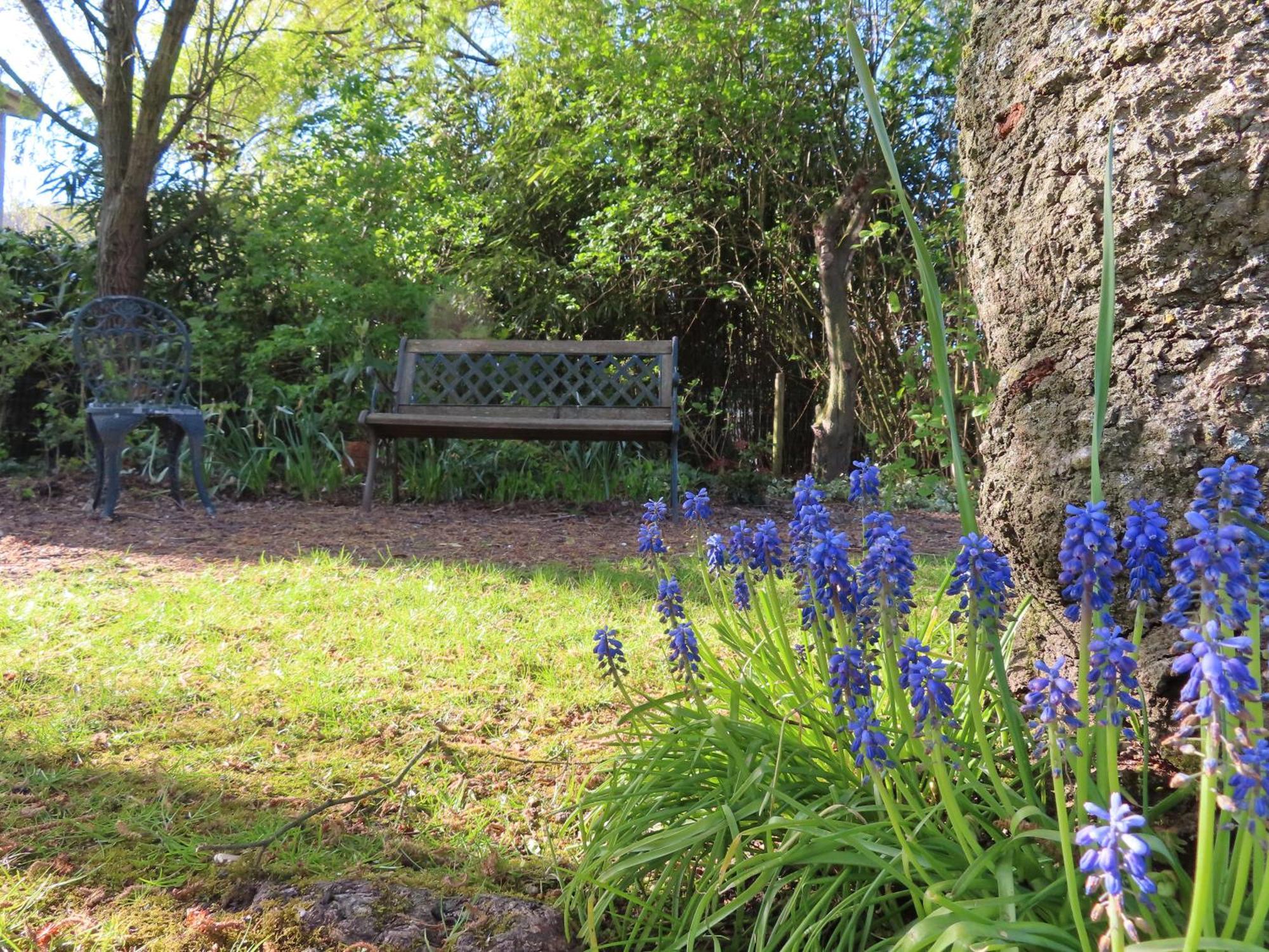 Vila La Quitapenas Ronse Exteriér fotografie