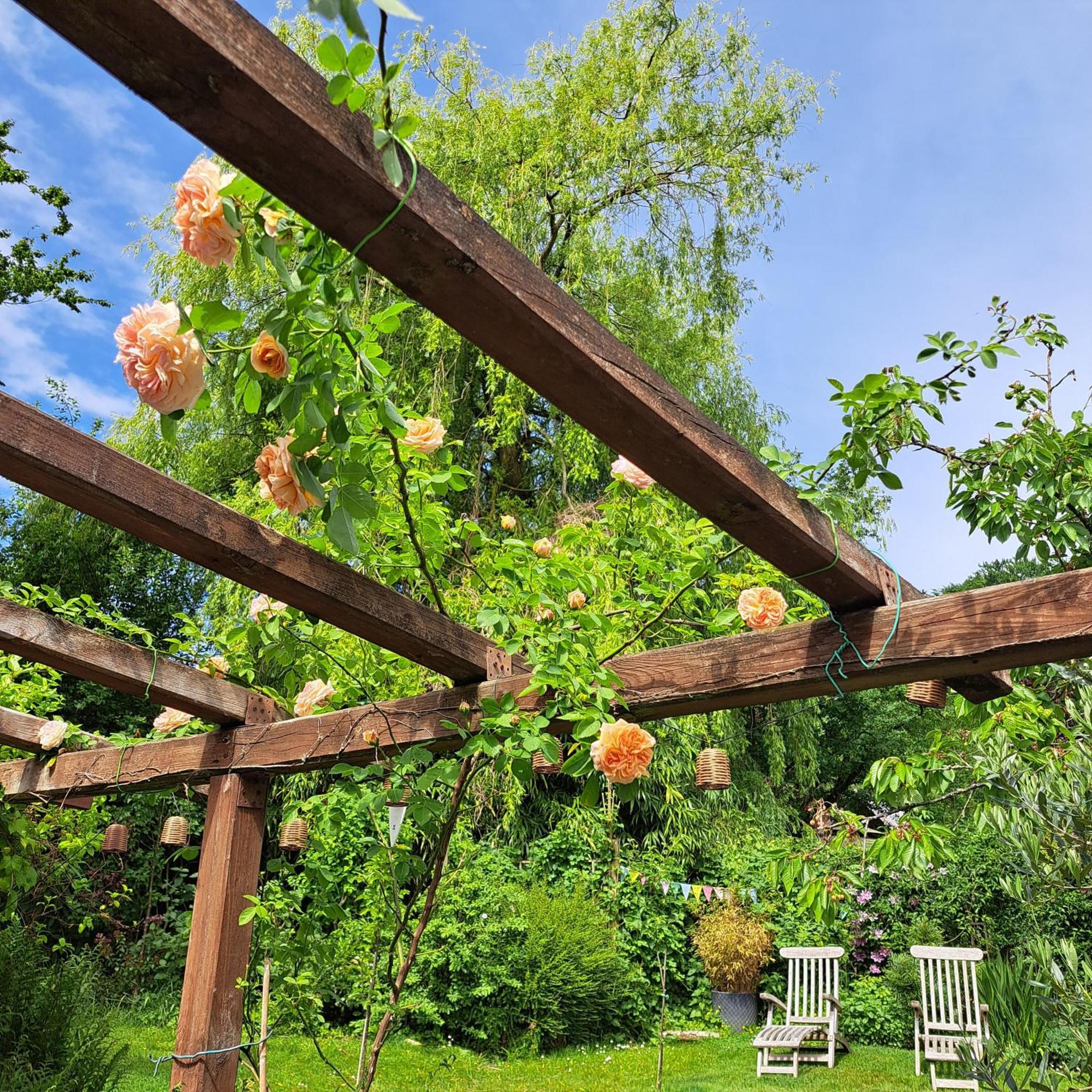 Vila La Quitapenas Ronse Exteriér fotografie