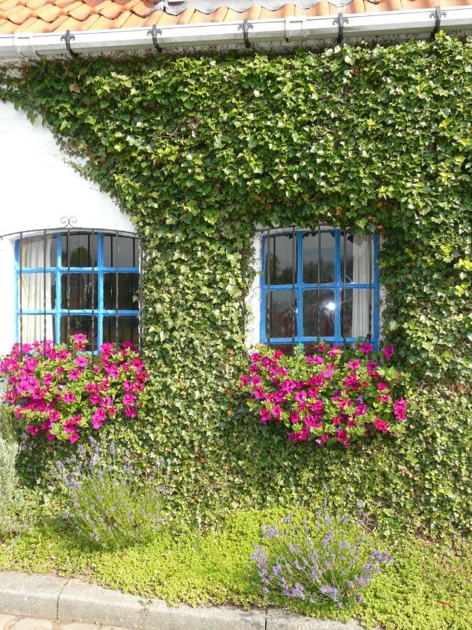 Vila La Quitapenas Ronse Exteriér fotografie