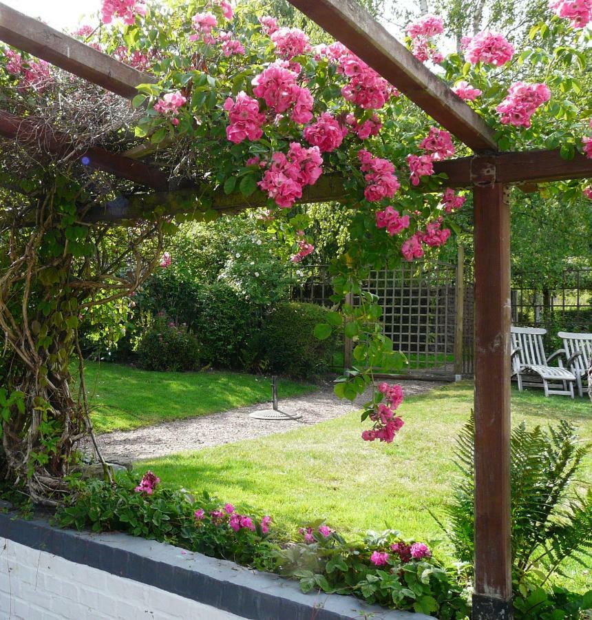 Vila La Quitapenas Ronse Exteriér fotografie