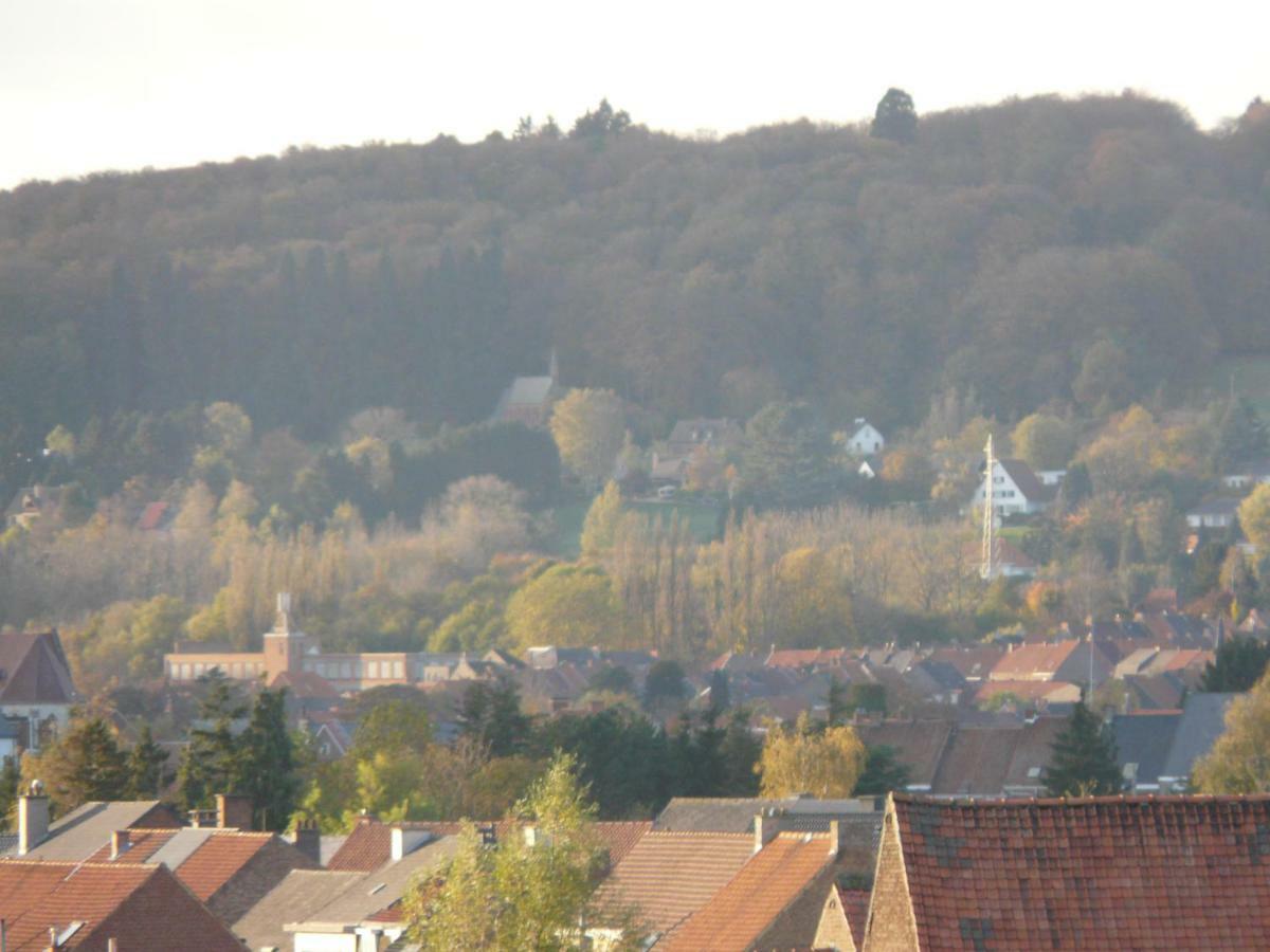 Vila La Quitapenas Ronse Exteriér fotografie