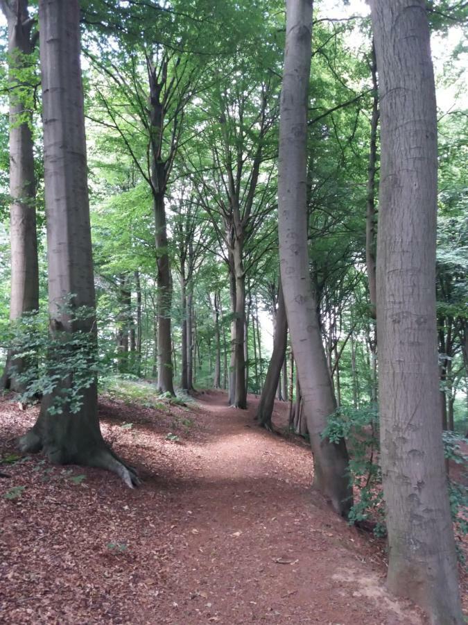 Vila La Quitapenas Ronse Exteriér fotografie