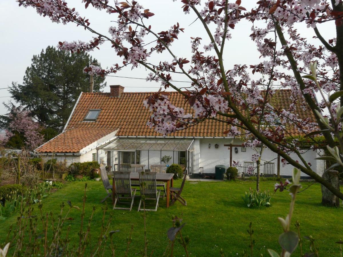 Vila La Quitapenas Ronse Exteriér fotografie