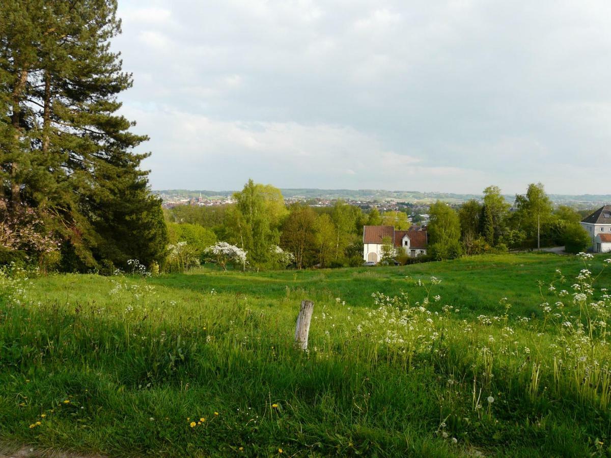 Vila La Quitapenas Ronse Exteriér fotografie