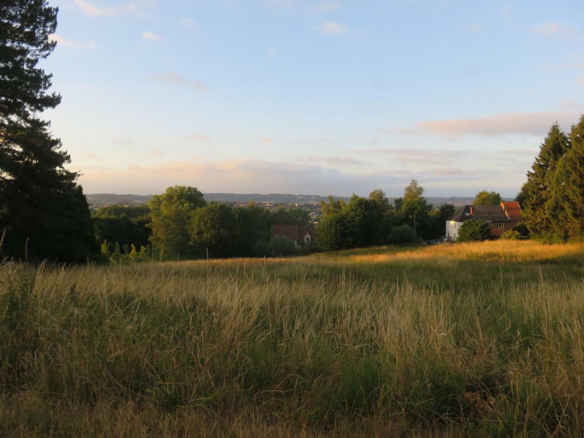 Vila La Quitapenas Ronse Exteriér fotografie